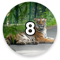 Number circle 8