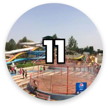 Number circle 11