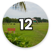 Number circle 12