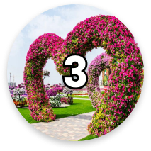 Number circle 3