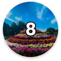 Number circle 8